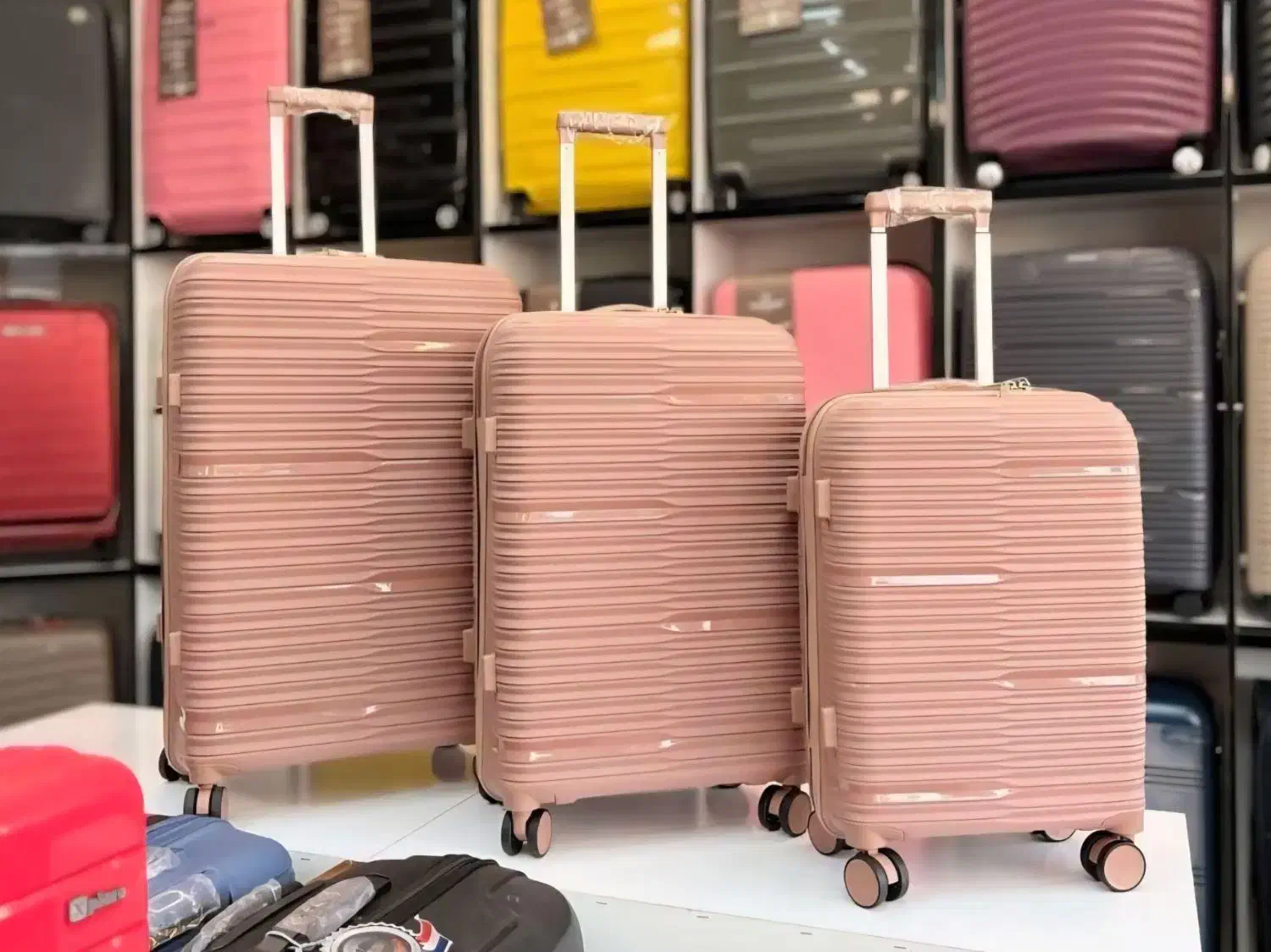 چمدان، ساک برزنتی ونشکن (زیرقیمت بازار)|کیف، کفش، کمربند|اهواز, اهواز|دیوار