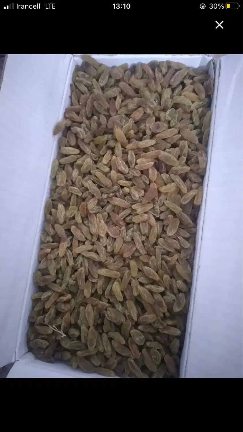 کشمش سبز باغات.|خوردنی و آشامیدنی|قوچان, |دیوار