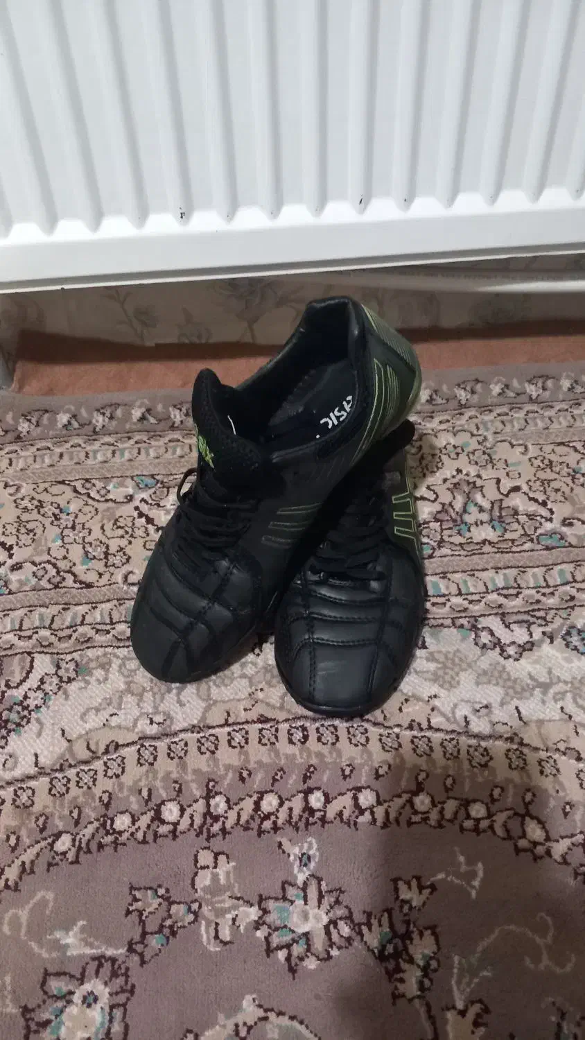 استوک|کیف، کفش، کمربند|پرند, فاز ۶|دیوار