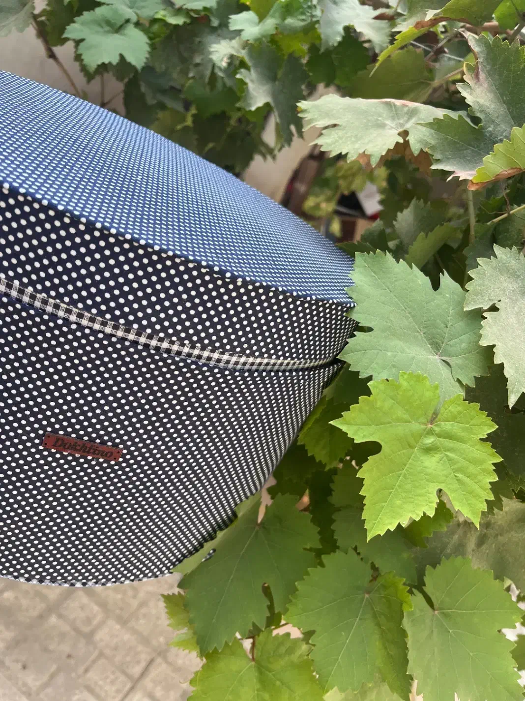 سرویس کامل آشپزخونه دوختینو|سفره، حوله، دستمال آشپزخانه|مشهد, استاد یوسفی (شهرک غرب)|دیوار