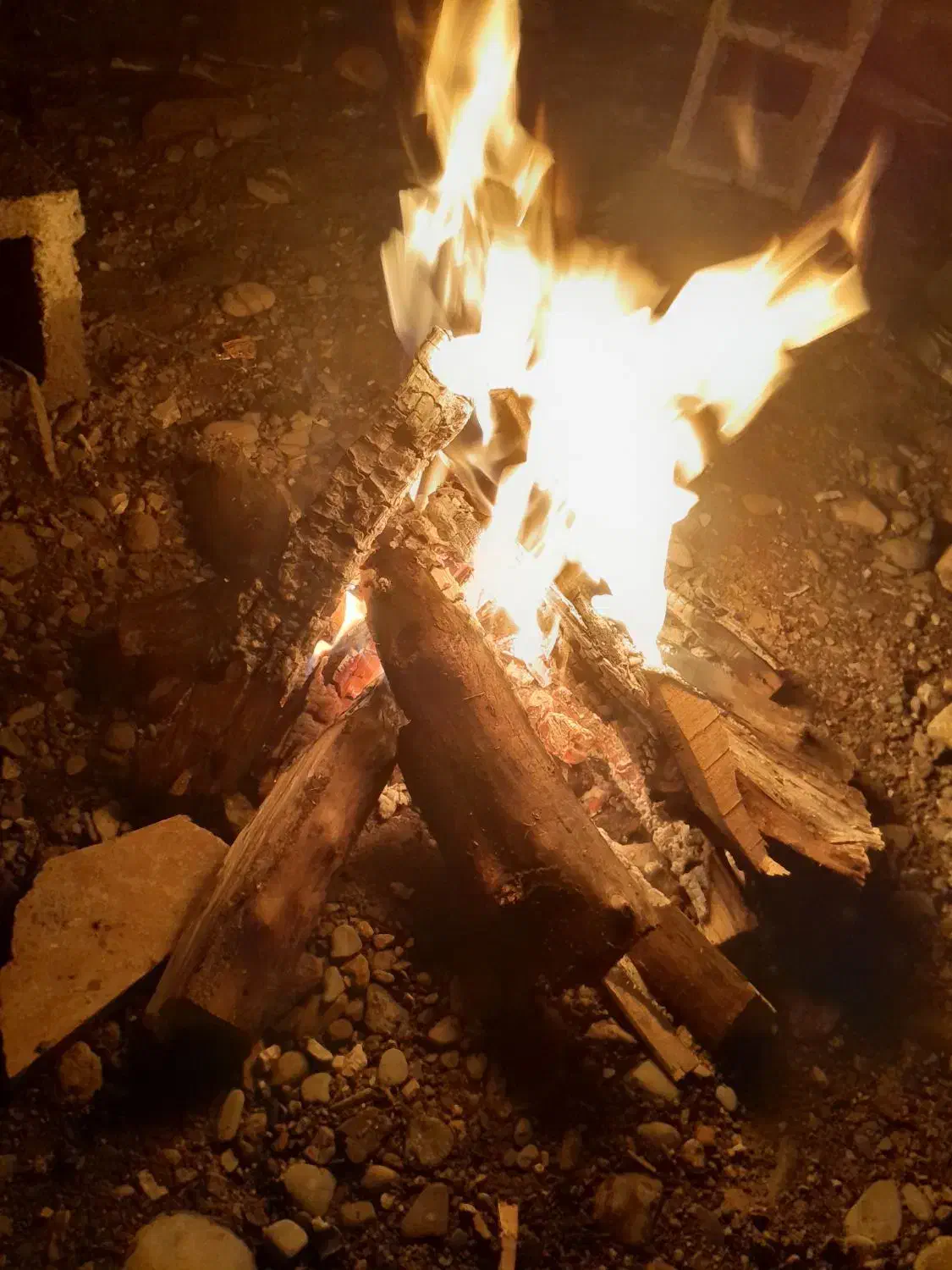 خط  09121187102|سیم‌کارت|تهران, پامنار|دیوار