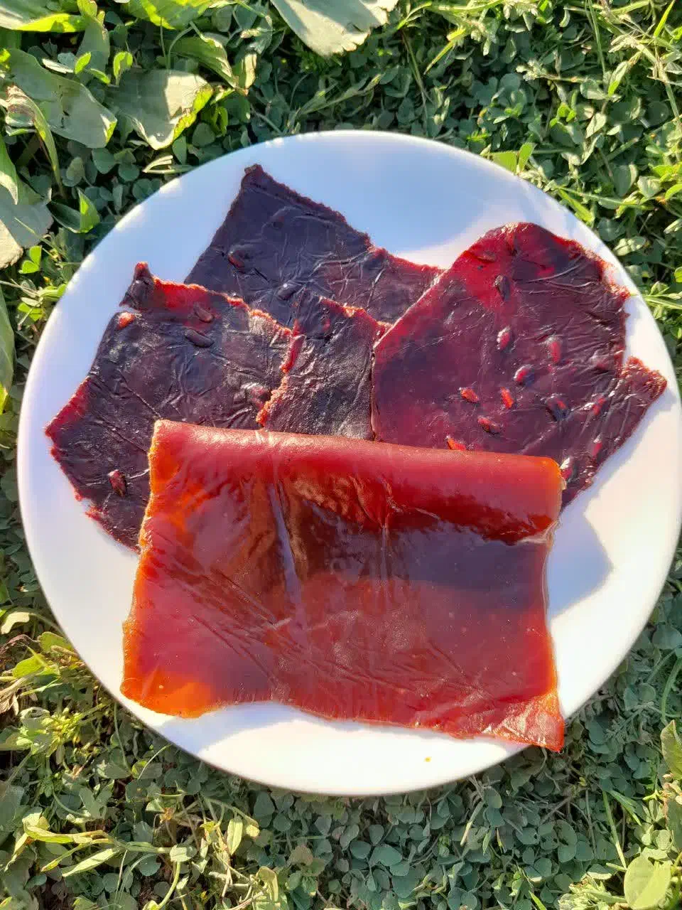 لواشک ارگانیک|خوردنی و آشامیدنی|بهبهان, |دیوار