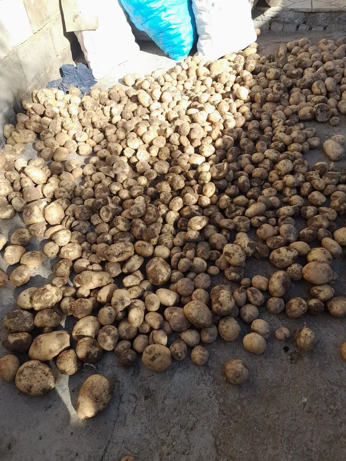 خوردنی واشامیدنی|خوردنی و آشامیدنی|الیگودرز, |دیوار