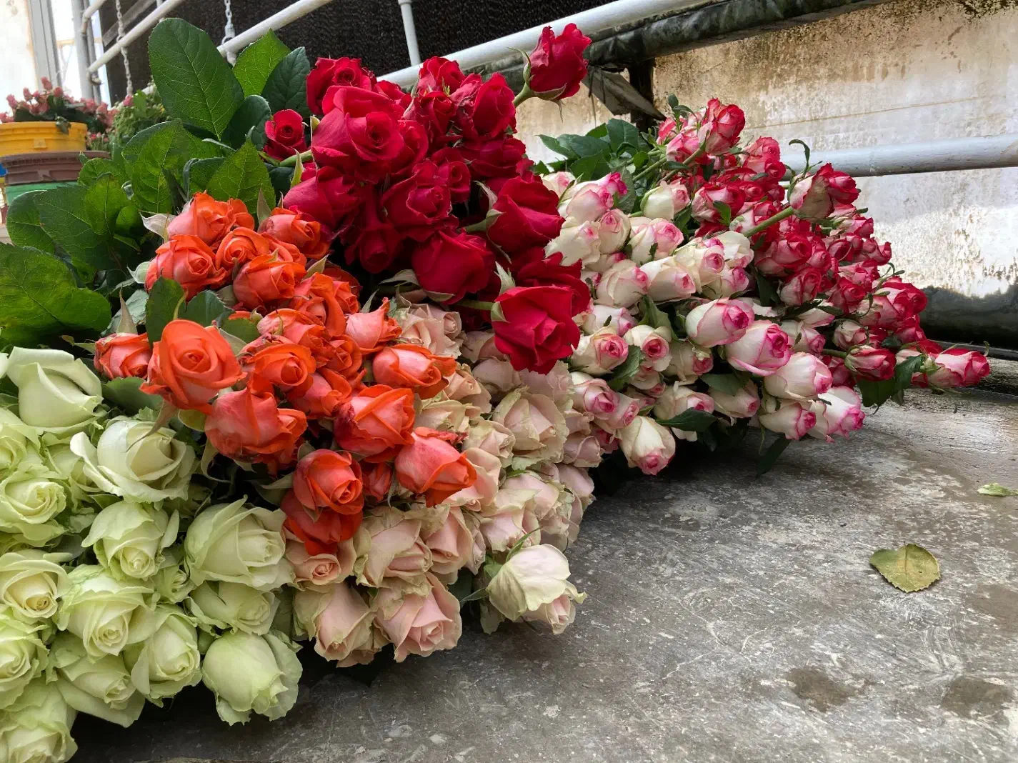 نیروی کار|استخدام صنعتی، فنی، مهندسی|نجف‌آباد, حومه نجف آباد|دیوار