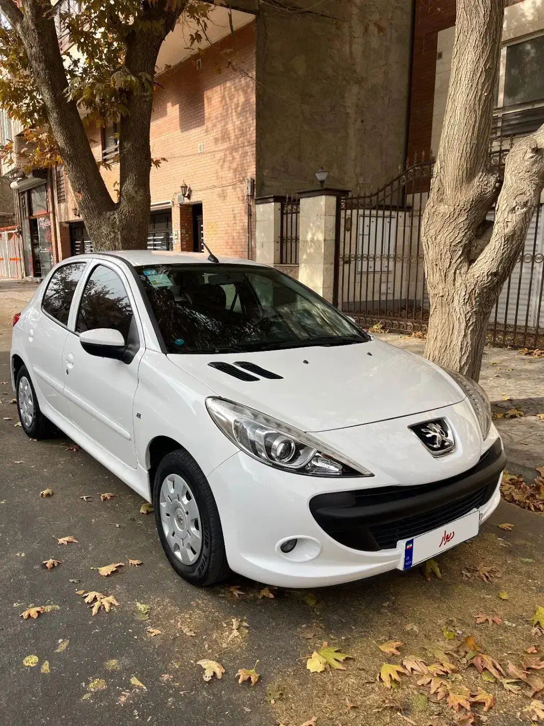 207مدل 1402|خودرو سواری و وانت|همدان, |دیوار