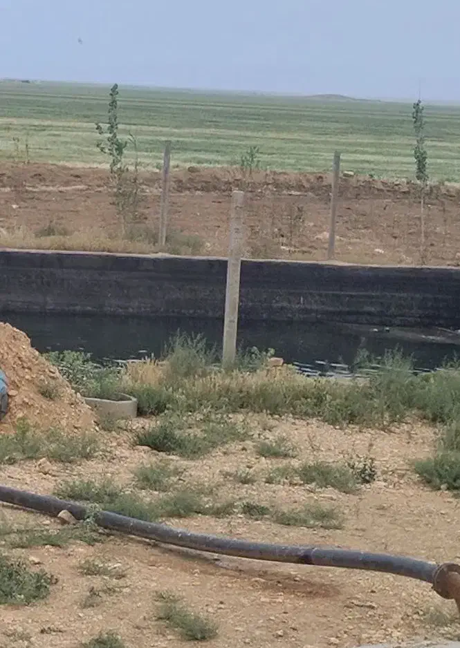 اجاره مزرعه آبی کشاورزی زمین کشاورزی موتور آب|اجارهٔ دفتر صنعتی، کشاورزی، تجاری|شراء, |دیوار