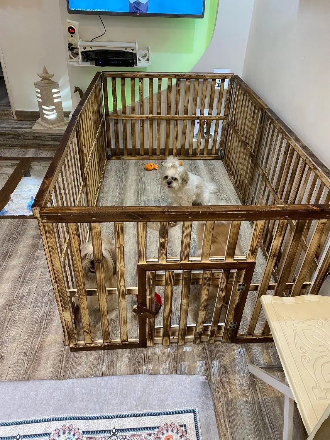 لانه سگ پاکوتاه|لوازم جانبی حیوانات|رشت, حومه رشت|دیوار