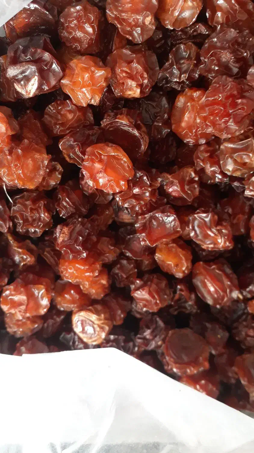 خوشک بار|خوردنی و آشامیدنی|صوفیان, |دیوار