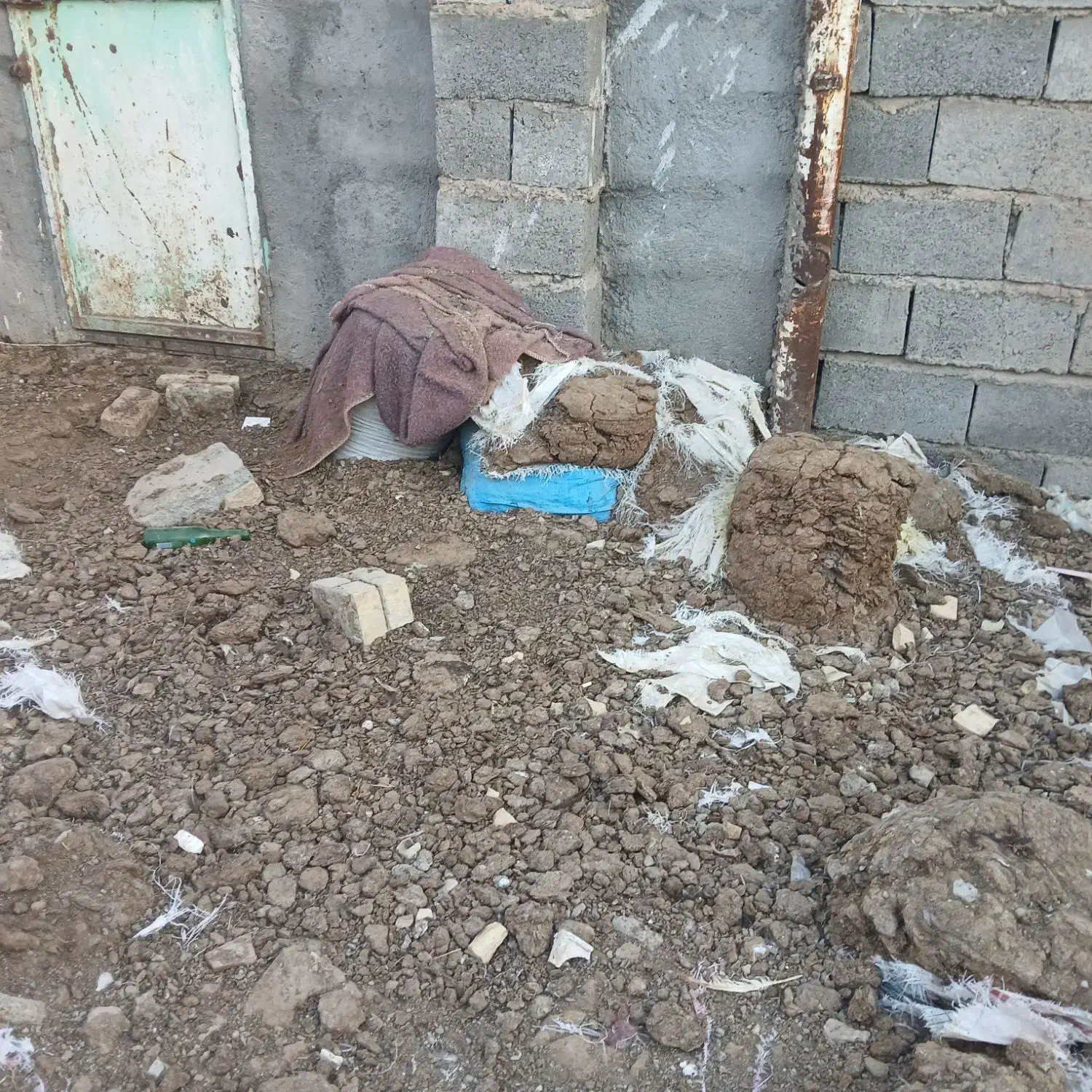 کود مرغی خالص|خدمات باغبانی و درختکاری|فریمان, |دیوار