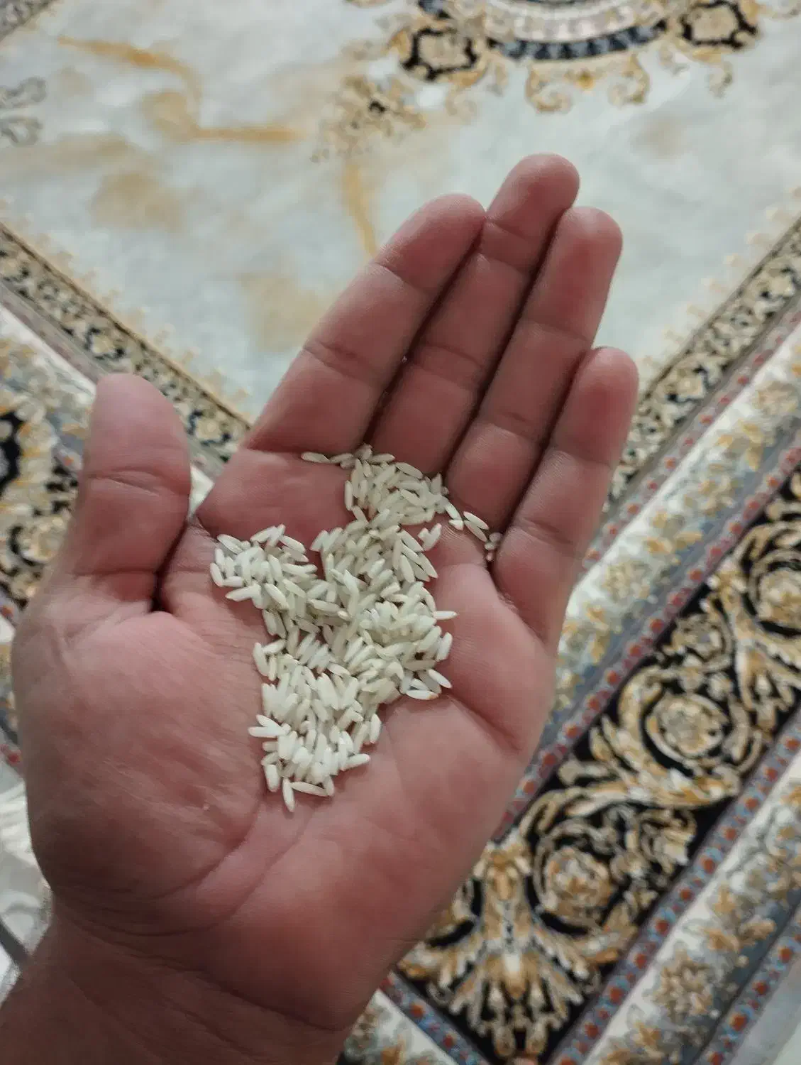 برنج اعلا کاظمی بروجرد نیم دانه هم موجود شد|خوردنی و آشامیدنی|شاهینشهر, شهرک سایت|دیوار