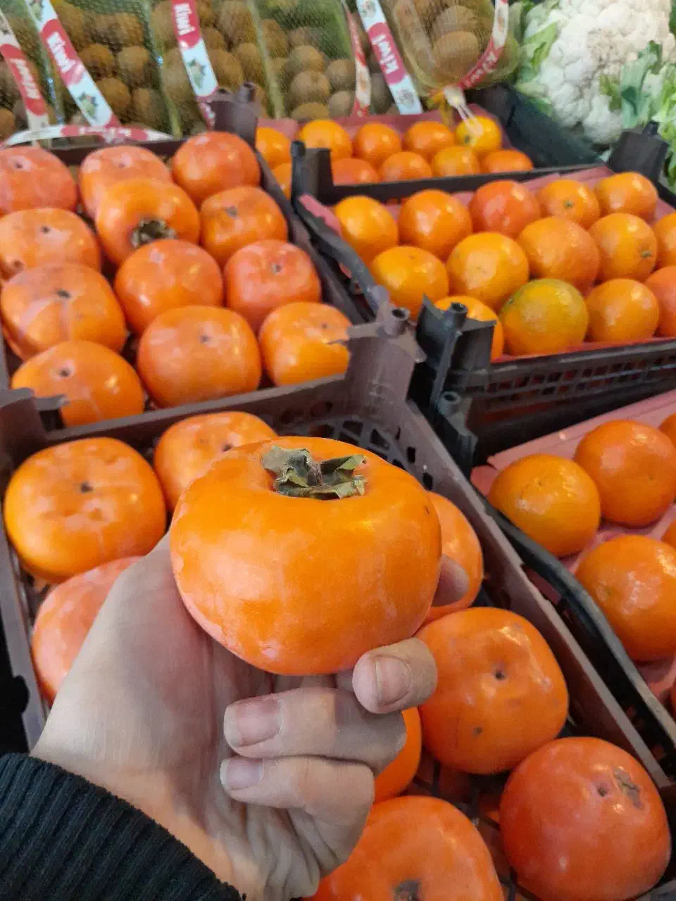 میوه باارسال رایگان در قم|خوردنی و آشامیدنی|قم, ولیعصر|دیوار