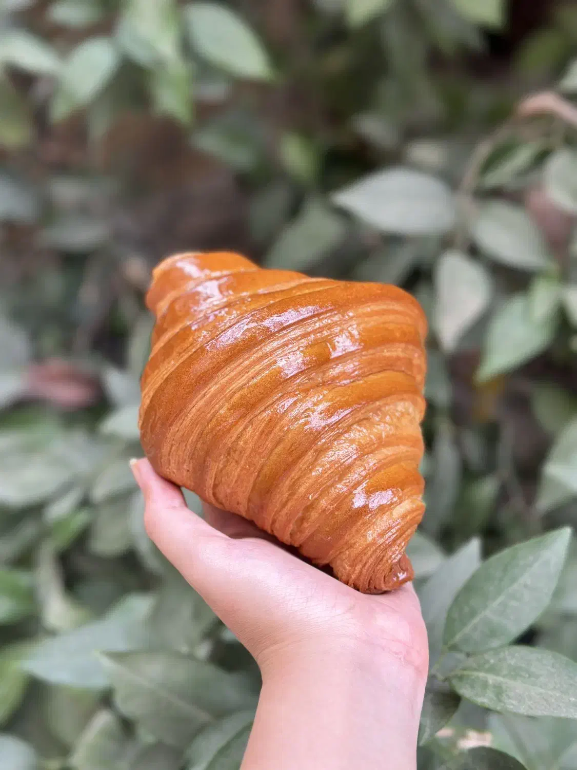 آموزش دوره نان حجیم و نیمه حجیم|خدمات آموزشی|کرمانشاه, |دیوار