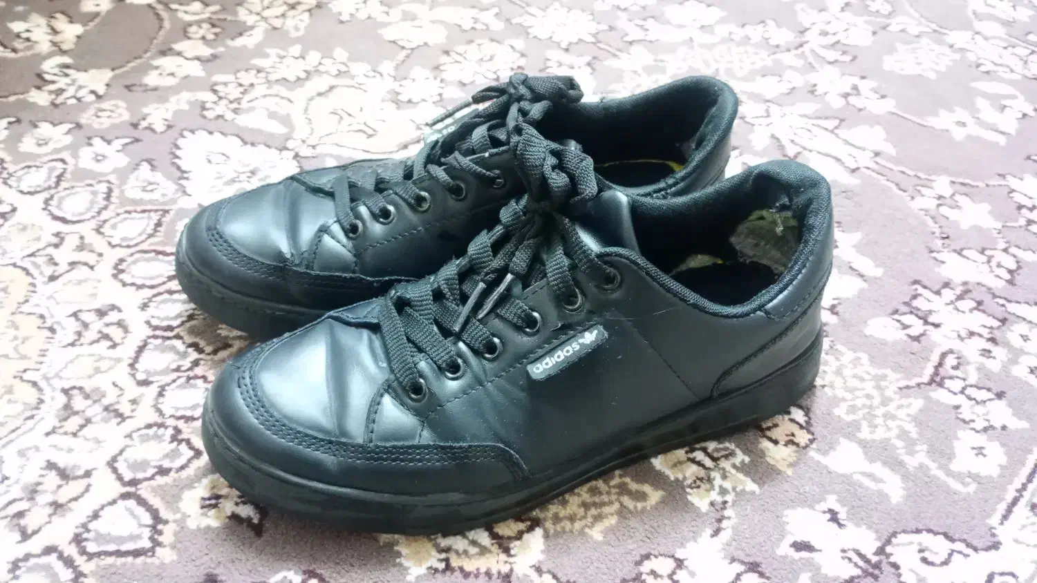 کفش|کیف، کفش، کمربند|سبزوار, مدرس|دیوار