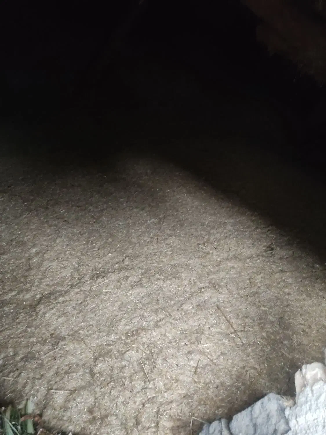 کاه یا سامان گندم|لوازم جانبی حیوانات|چهاردانگه (آذربایجان), |دیوار