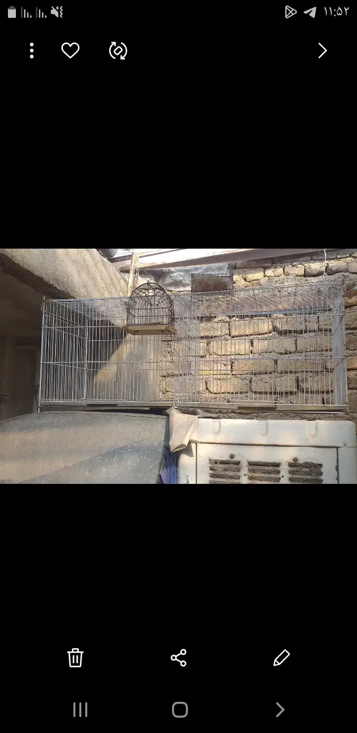 قفس|لوازم جانبی حیوانات|کرمانشاه, |دیوار