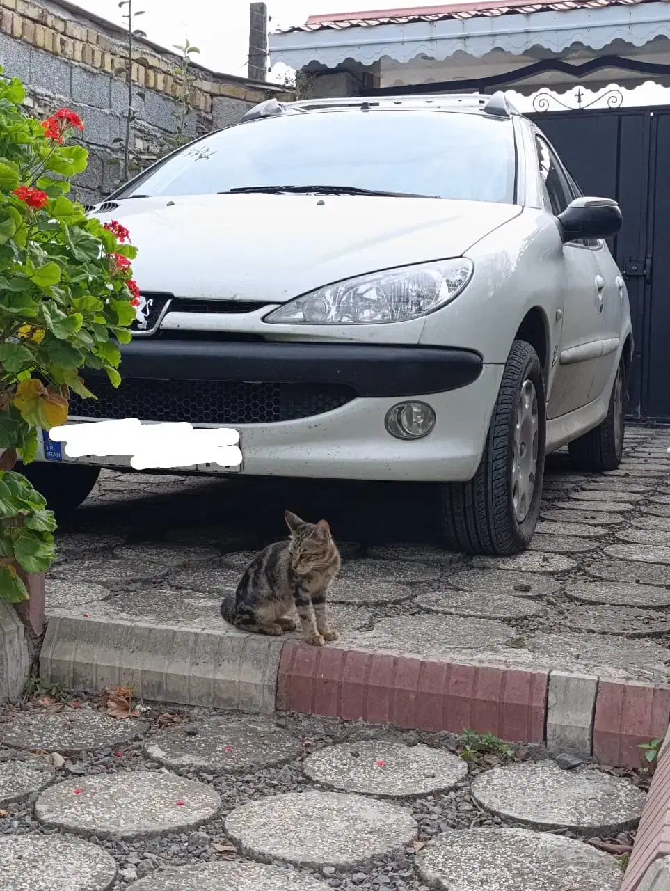 پژو ۲۰۶ صندوقدار|خودرو سواری و وانت|اهواز, گلستان|دیوار