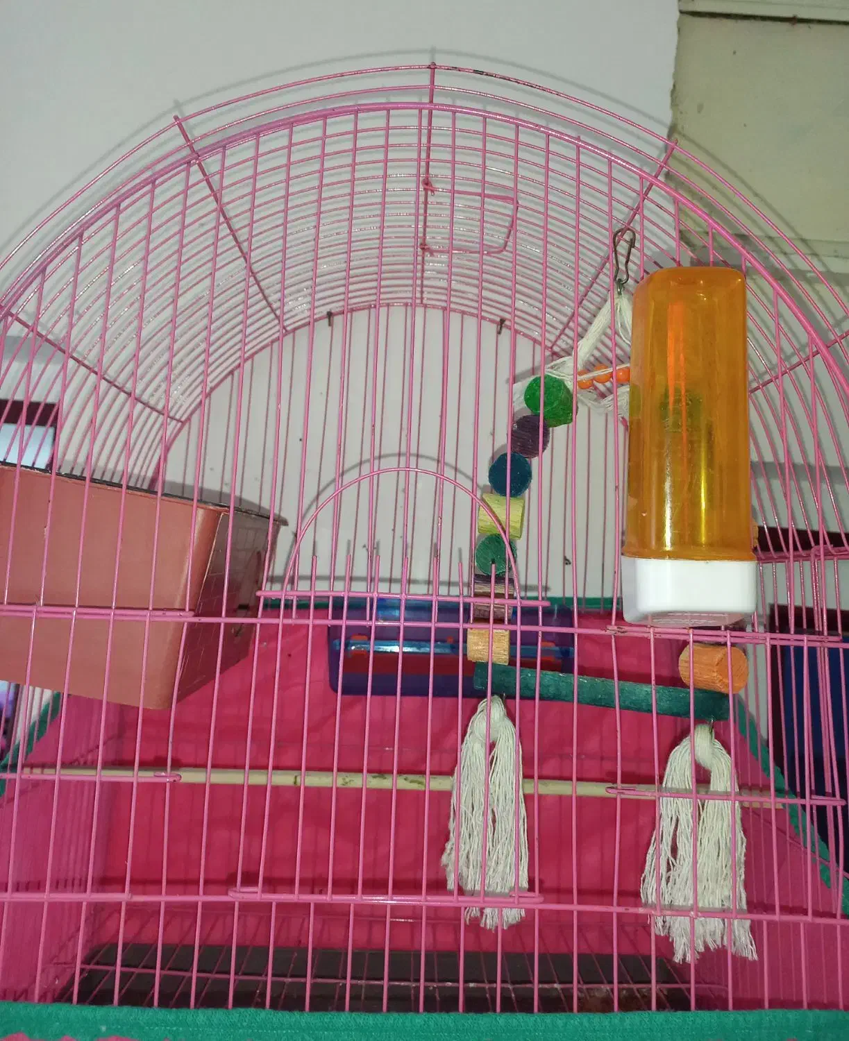 فقس نو برای مرغ عشق با دونه و کلسیم.|لوازم جانبی حیوانات|صومعه‌سرا, |دیوار