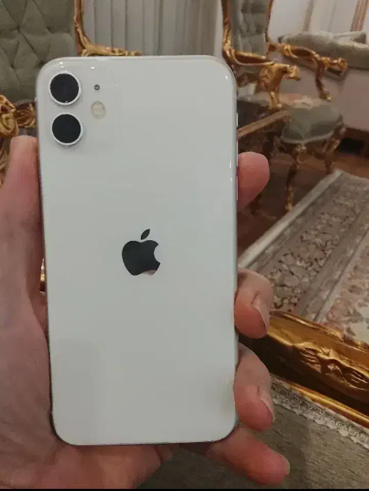 فروش آیفون 11|موبایل|بوشهر, |دیوار