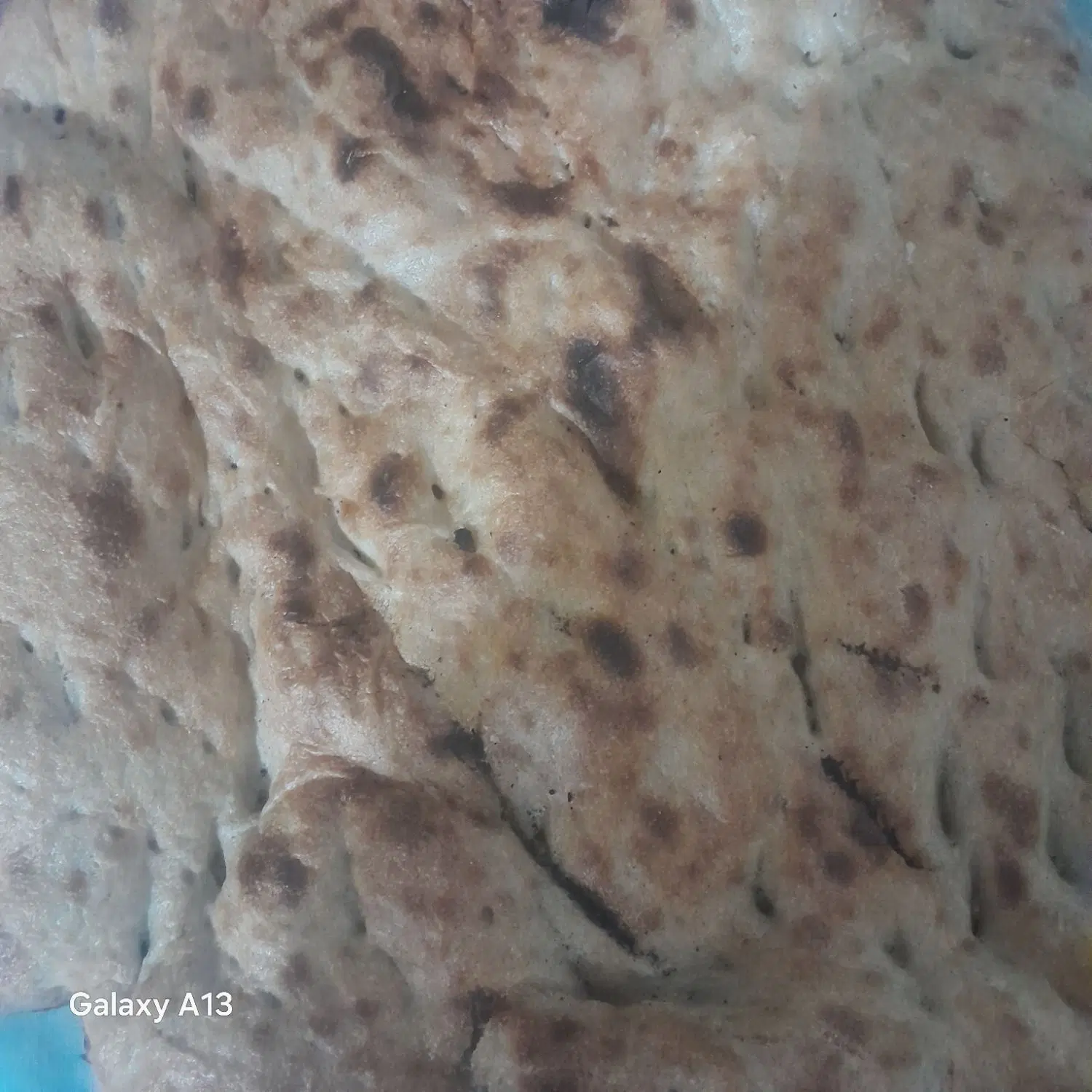 نان خشک|لوازم جانبی حیوانات|زابل, |دیوار