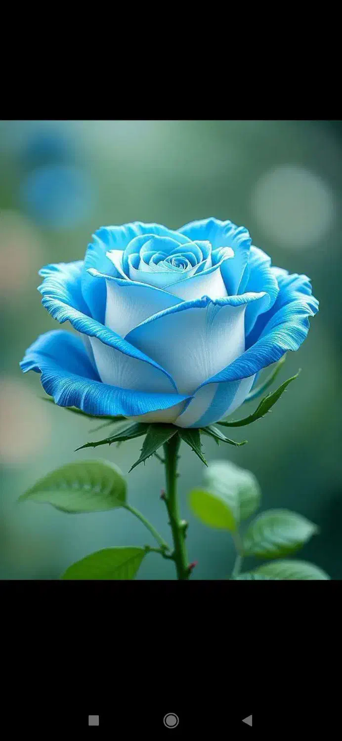 خط 912|سیم‌کارت|قم, گلزار|دیوار