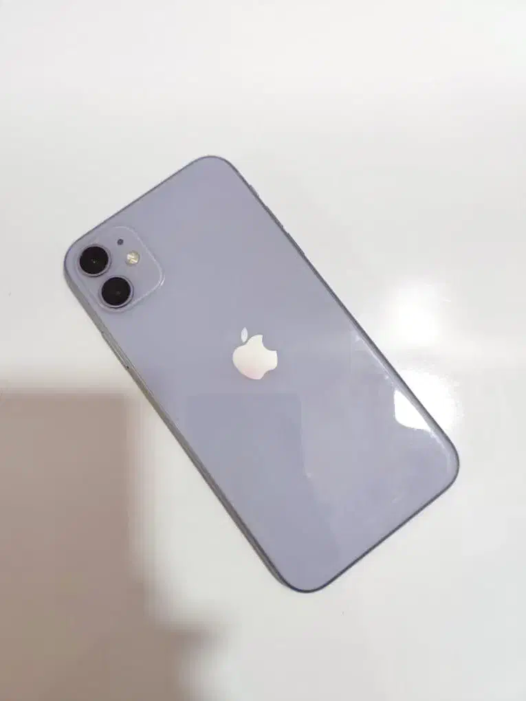 iPhone 11 آیفون|موبایل|شوش, |دیوار