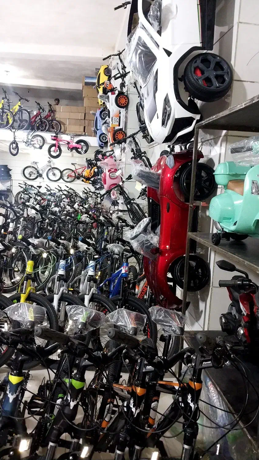 دوچرخه ماشین موتور اسکوتر ۵ماهه|دوچرخه، اسکیت، اسکوتر|سنندج, |دیوار