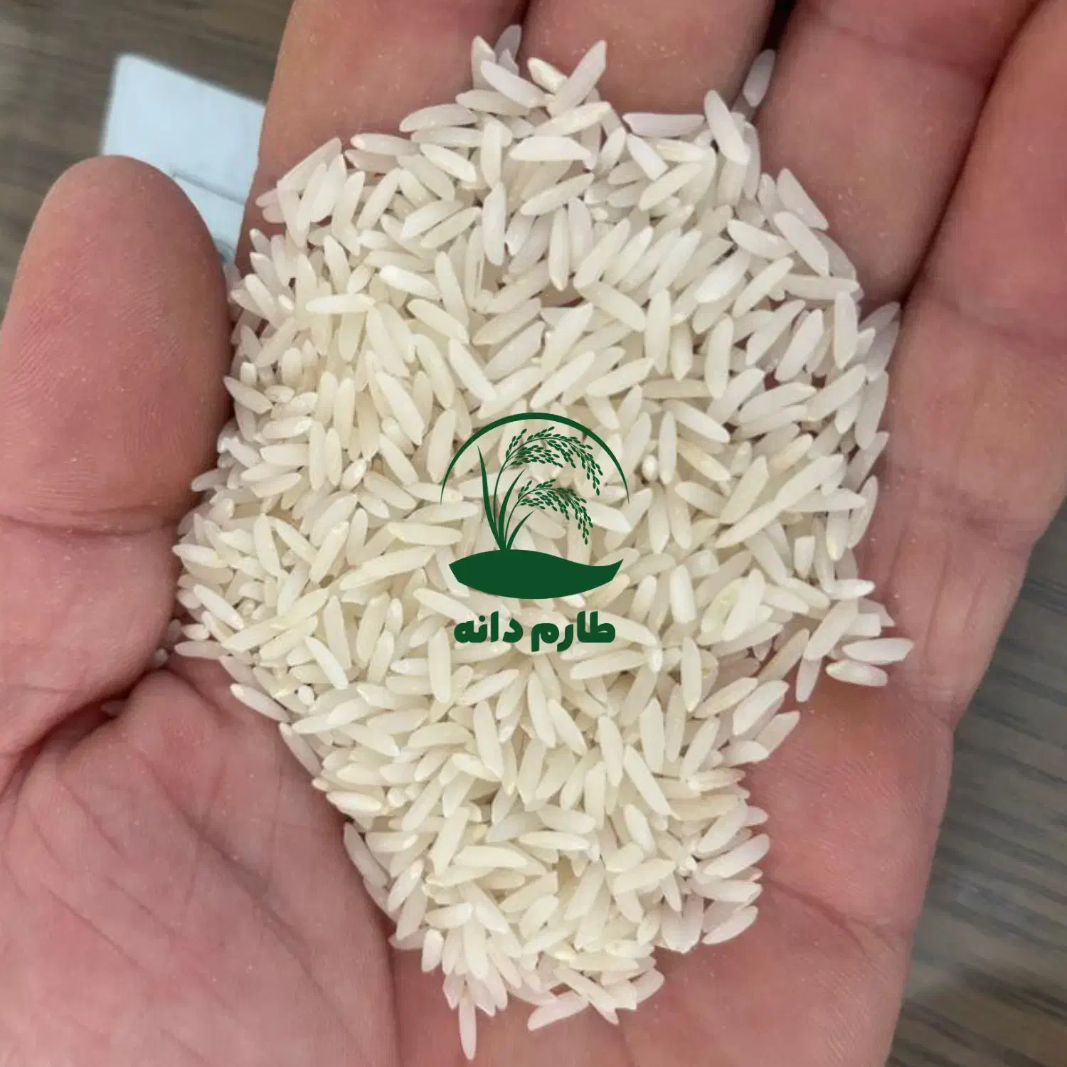 برنج اصیل فریدونکنار مستقیم از شالیزار|خوردنی و آشامیدنی|فریدون‌کنار, |دیوار