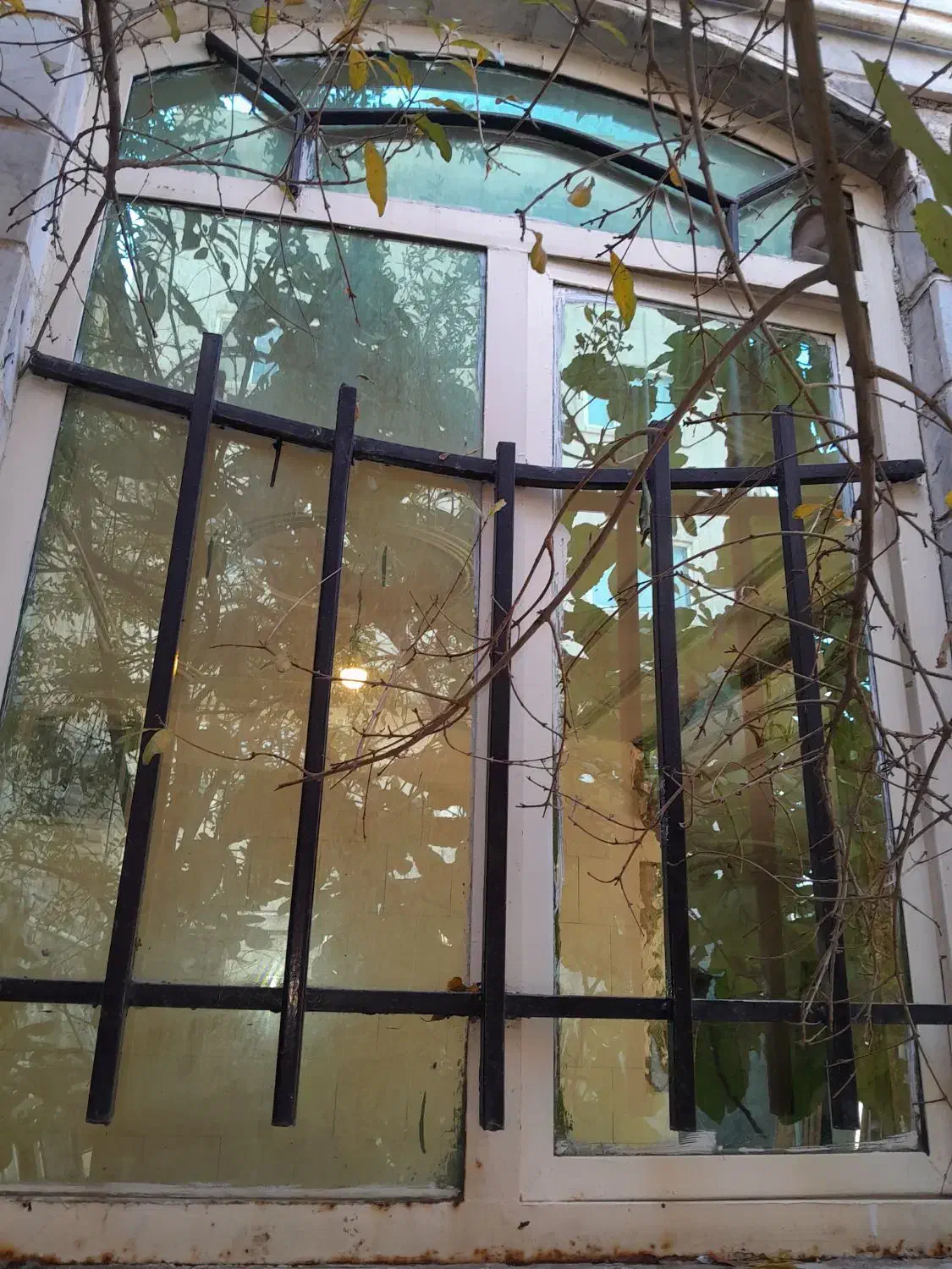 دوتا پنجره آهنی و درب پذیرایی فوق سنگین|مصالح و تجهیزات ساختمان|اشتهارد, |دیوار