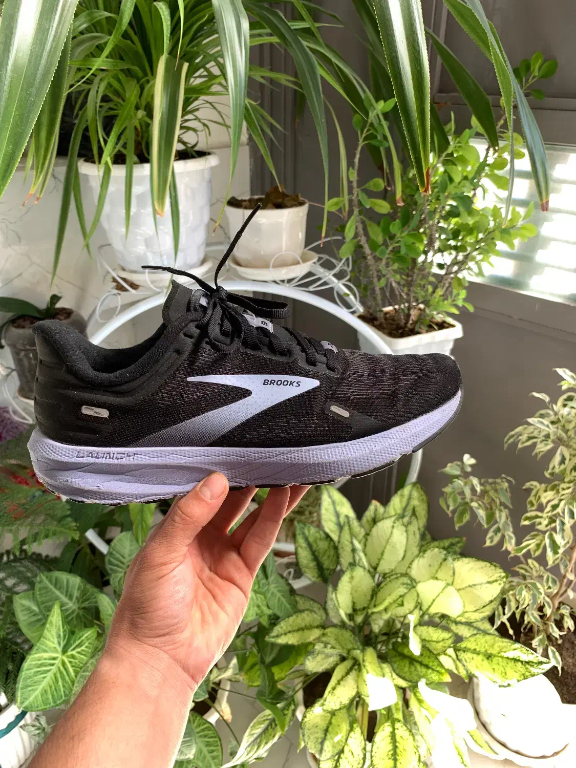 کتونیه اورجینال تاناکورا|کیف، کفش، کمربند|بوکان, |دیوار