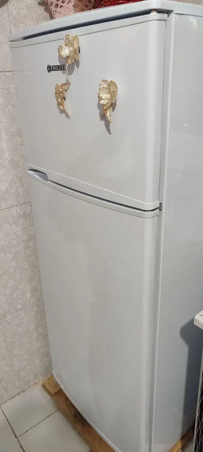 یخچال|یخچال و فریزر|سربیشه, |دیوار