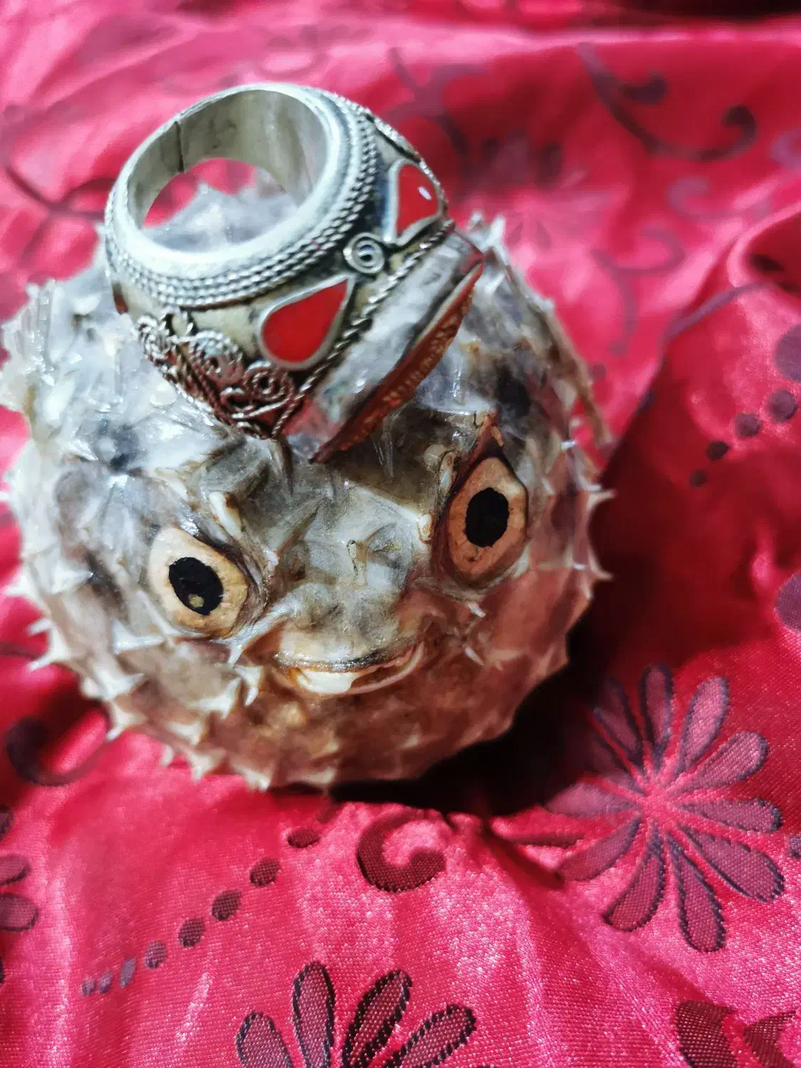 ماهی بادکنکی تزئینی و انگشتر نگین دار|جواهرات|آفتاب, |دیوار