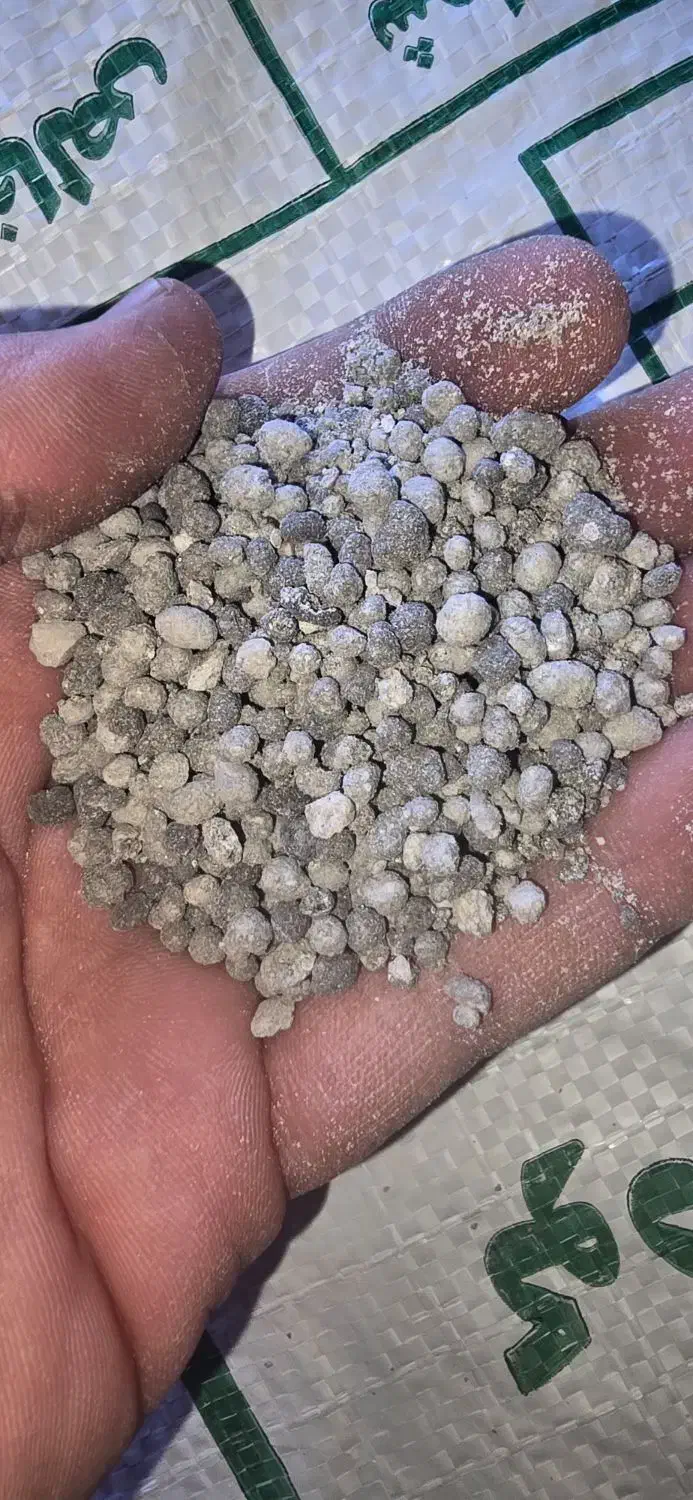 کود سوپر فسفات تریپل|خدمات باغبانی و درختکاری|کرمانشاه, |دیوار