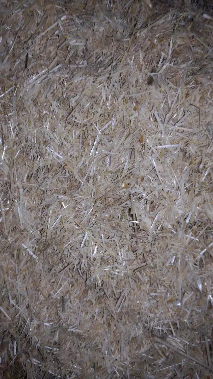 کاه|لوازم جانبی حیوانات|کبودرآهنگ, |دیوار