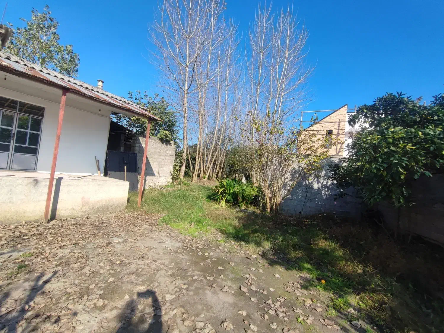 خانه و شالیزار/هشت دقیقه تا گلسار/1 هکتار/چسب هم|فروش خانه و ویلا|رشت, بلوار گیلان|دیوار