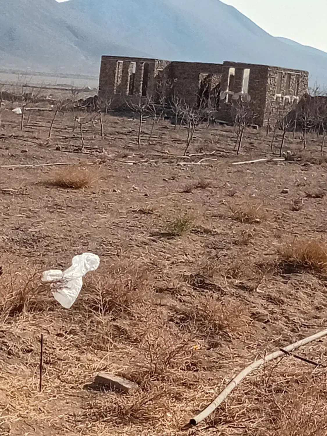 زمین مناسب باغچه و گلخانه|فروش دفتر صنعتی، کشاورزی، تجاری|صفادشت, |دیوار