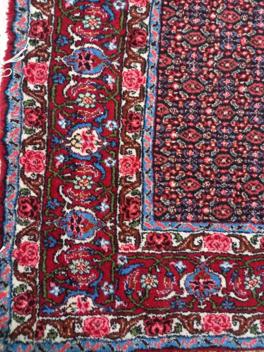 فرش دستباف|فرش|سنندج, |دیوار