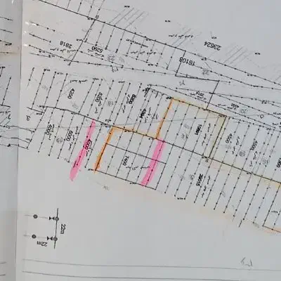 زمین کشاورزی|اجارهٔ دفتر صنعتی، کشاورزی، تجاری|باغ حلی, |دیوار