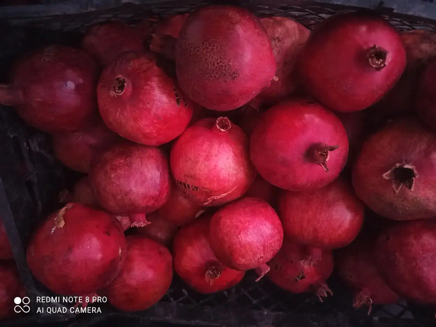 انار کوهپایه|خوردنی و آشامیدنی|کوهپایه, |دیوار