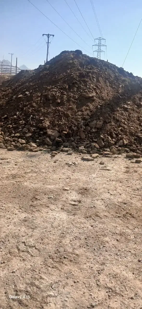 کود گوسفندی|گل و گیاه طبیعی|پیر بکران, |دیوار