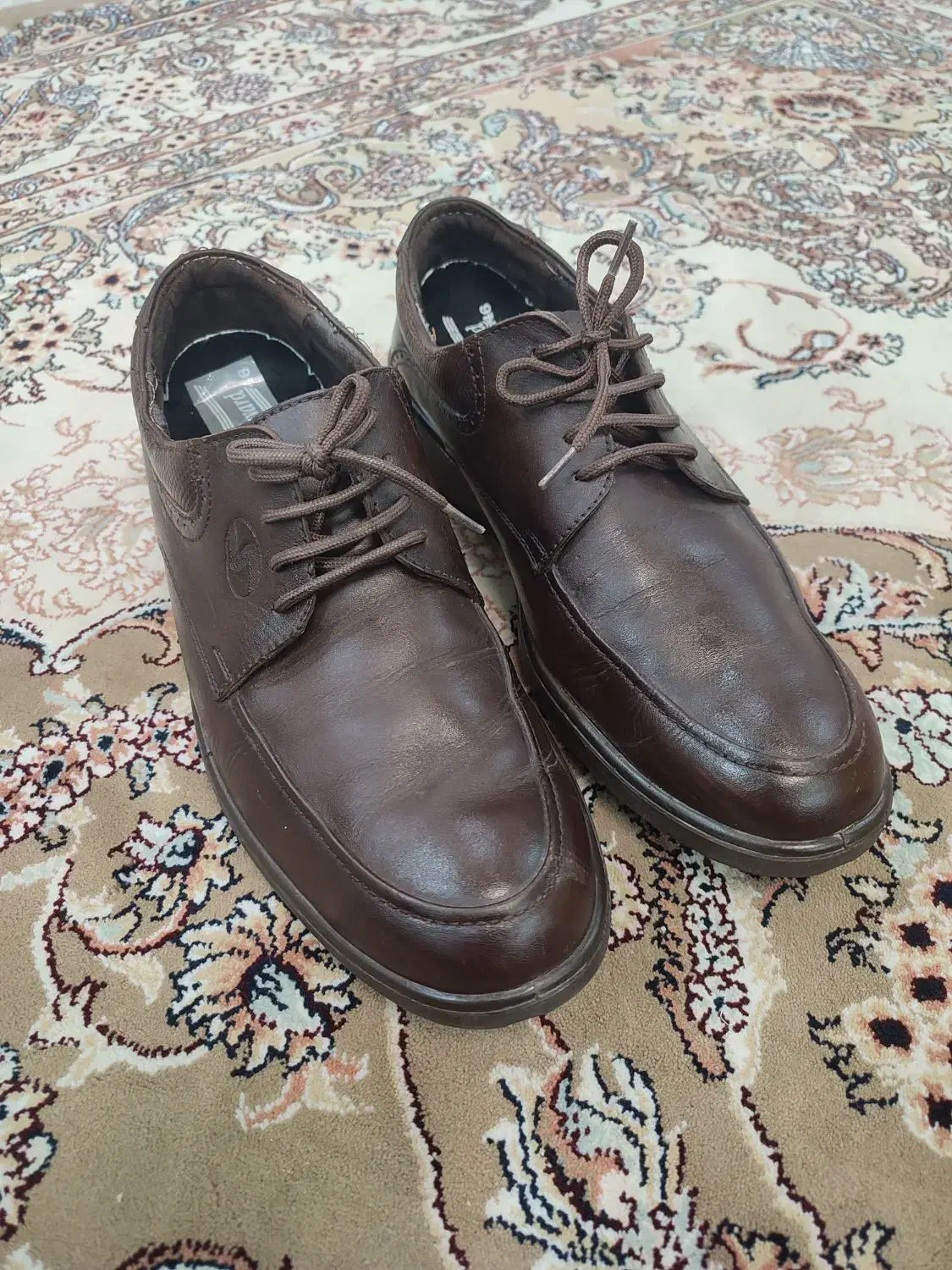 کفش چرم  قهوه ای|کیف، کفش، کمربند|سنندج, |دیوار