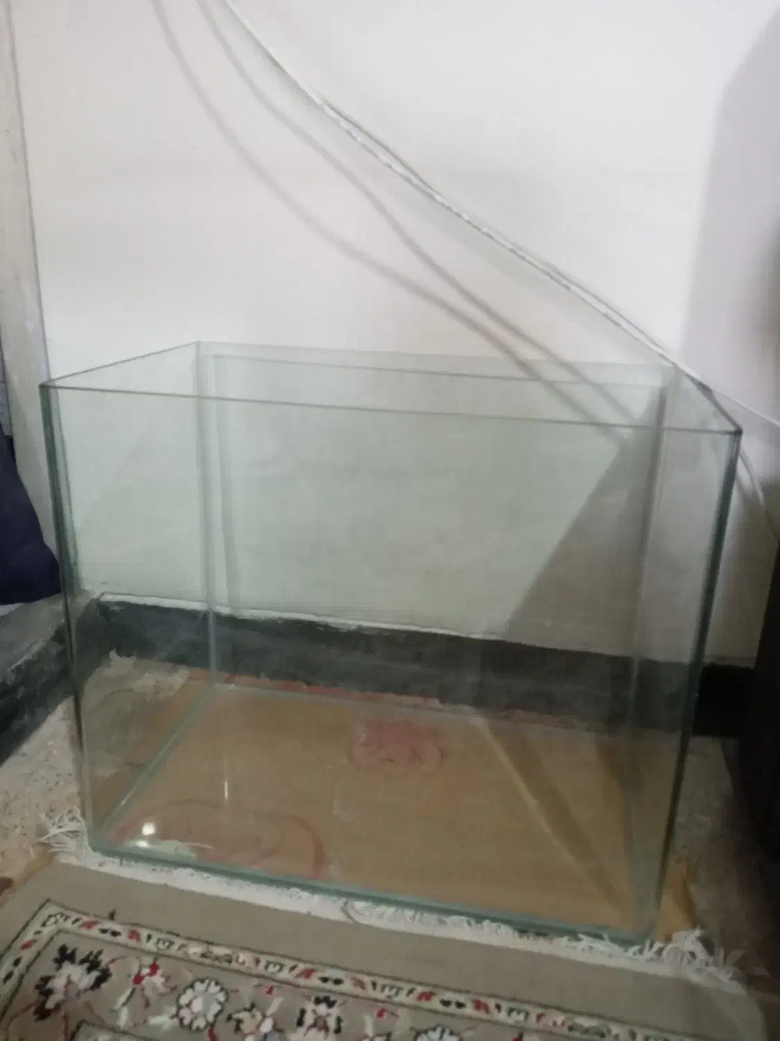 اکواریوم شیشه خم|ماهی|شیراز, لشکری‎|دیوار