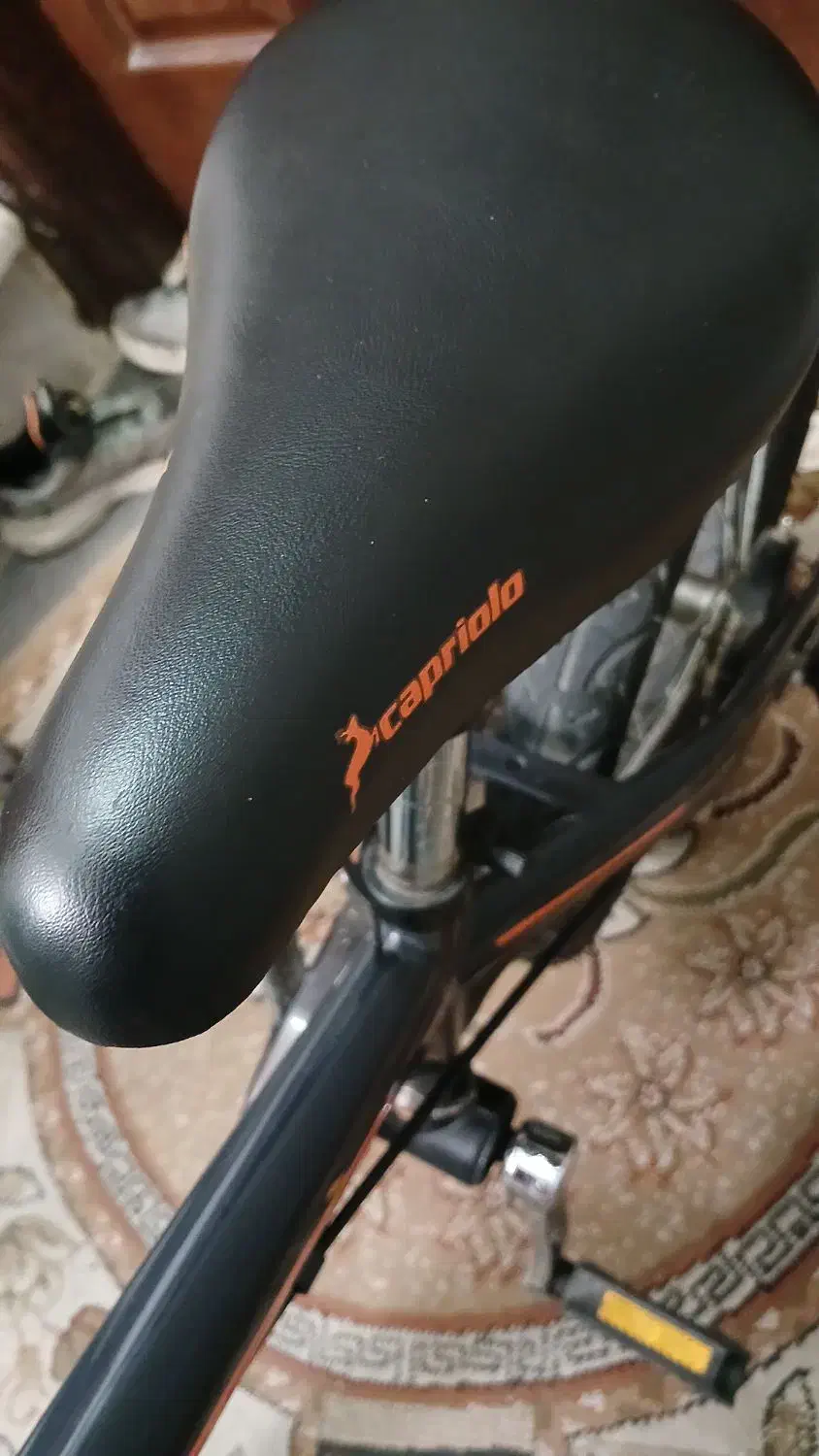 دوچرخه|دوچرخه، اسکیت، اسکوتر|گنبد کاووس, |دیوار