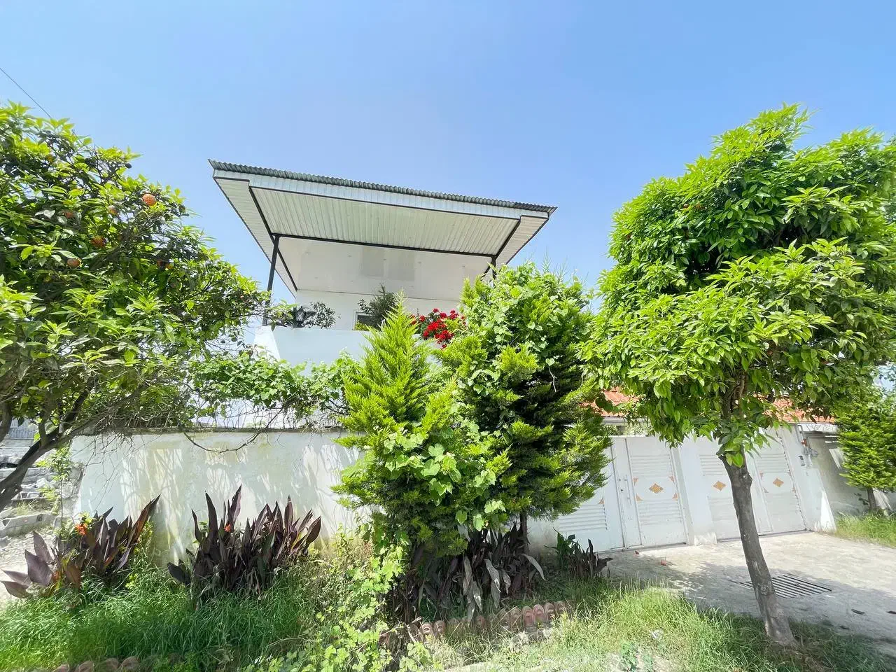 دوبلکس زیر قیمت جاده خانه دریا ۳کنتور اختصاصی|فروش خانه و ویلا|سرخرود, |دیوار