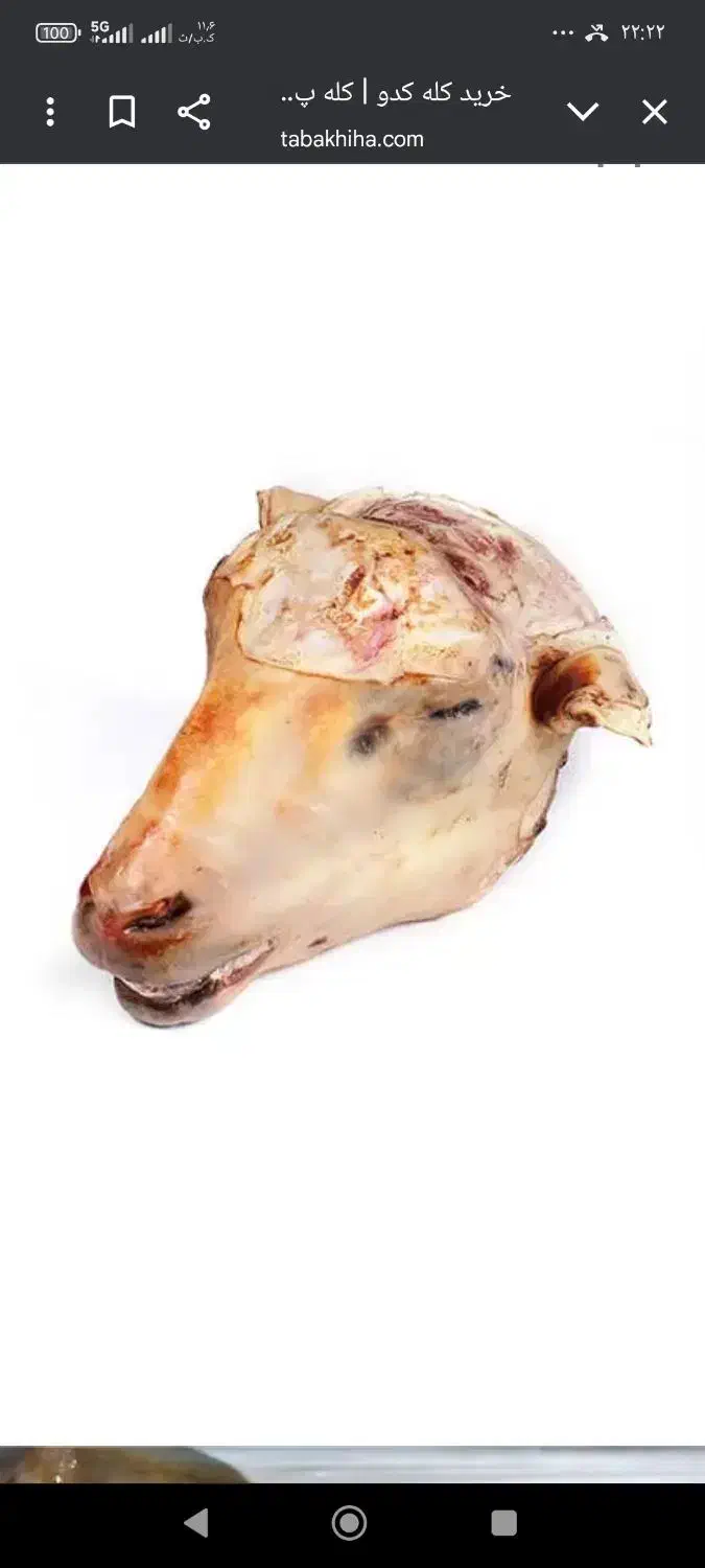 کله و پاچه وشیردان گوسفند یا گوساله|خوردنی و آشامیدنی|شهریار, شهرک بهاران (ویره)|دیوار