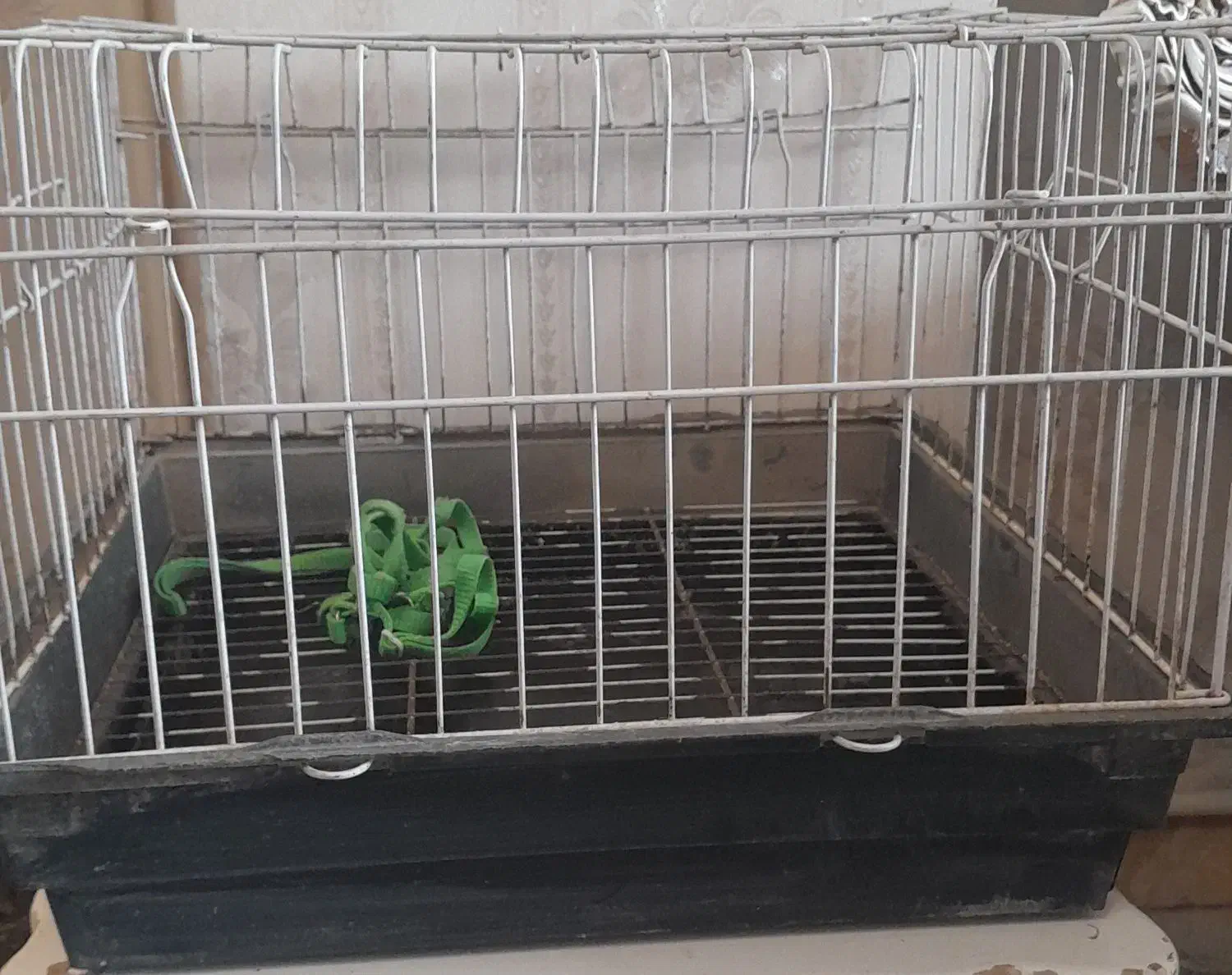 قفس خرگوش|لوازم جانبی حیوانات|نسیم‌شهر, |دیوار