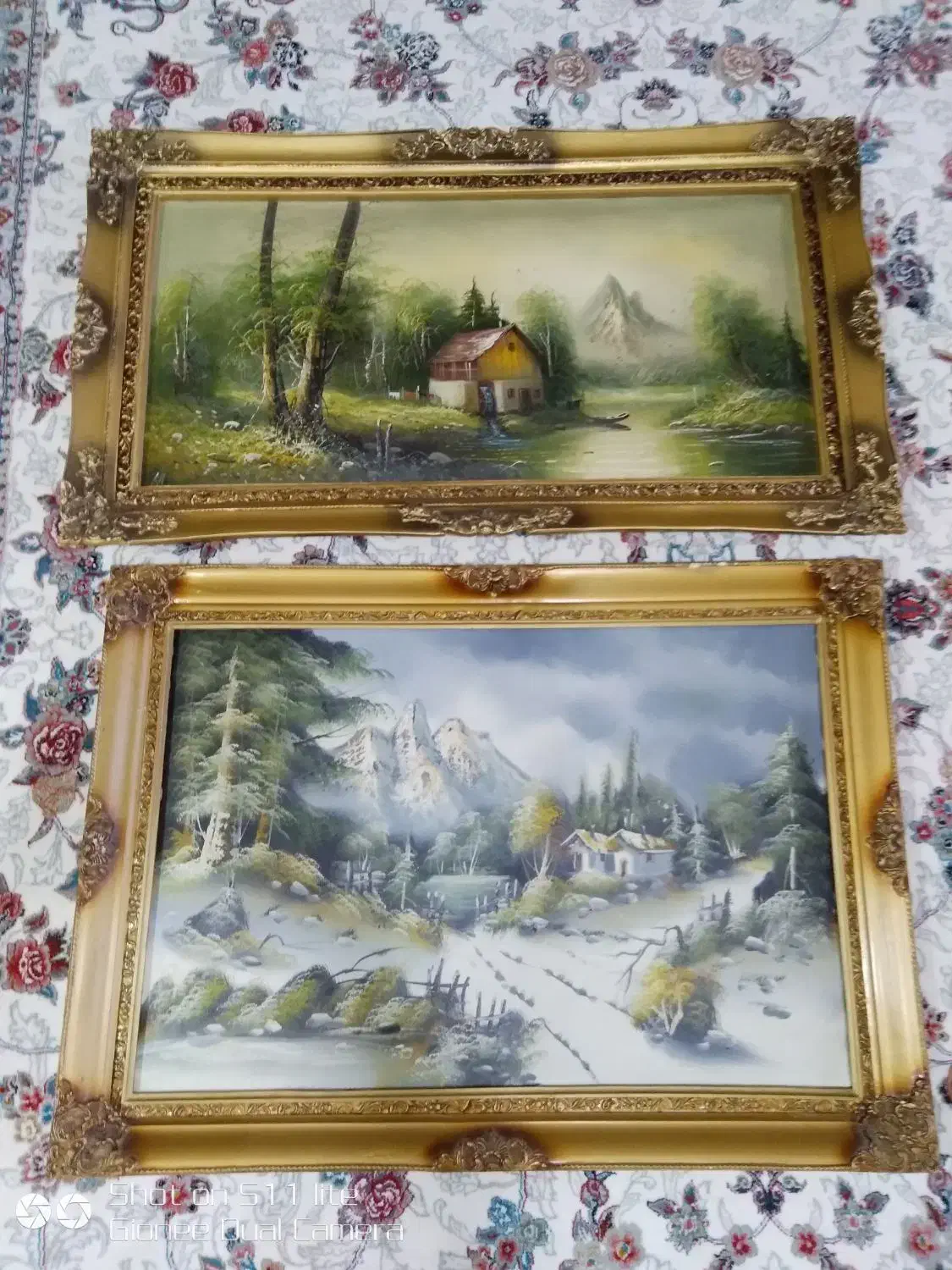 تابلو بوم رنگ|تابلو، نقاشی، عکس|کوهدشت, |دیوار