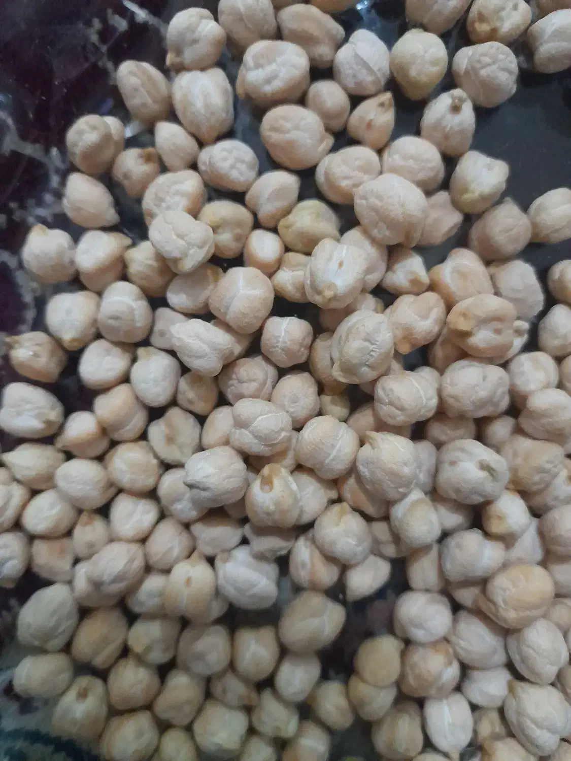 نخود زود پز دروشت|عمده‌فروشی|قیدار, |دیوار