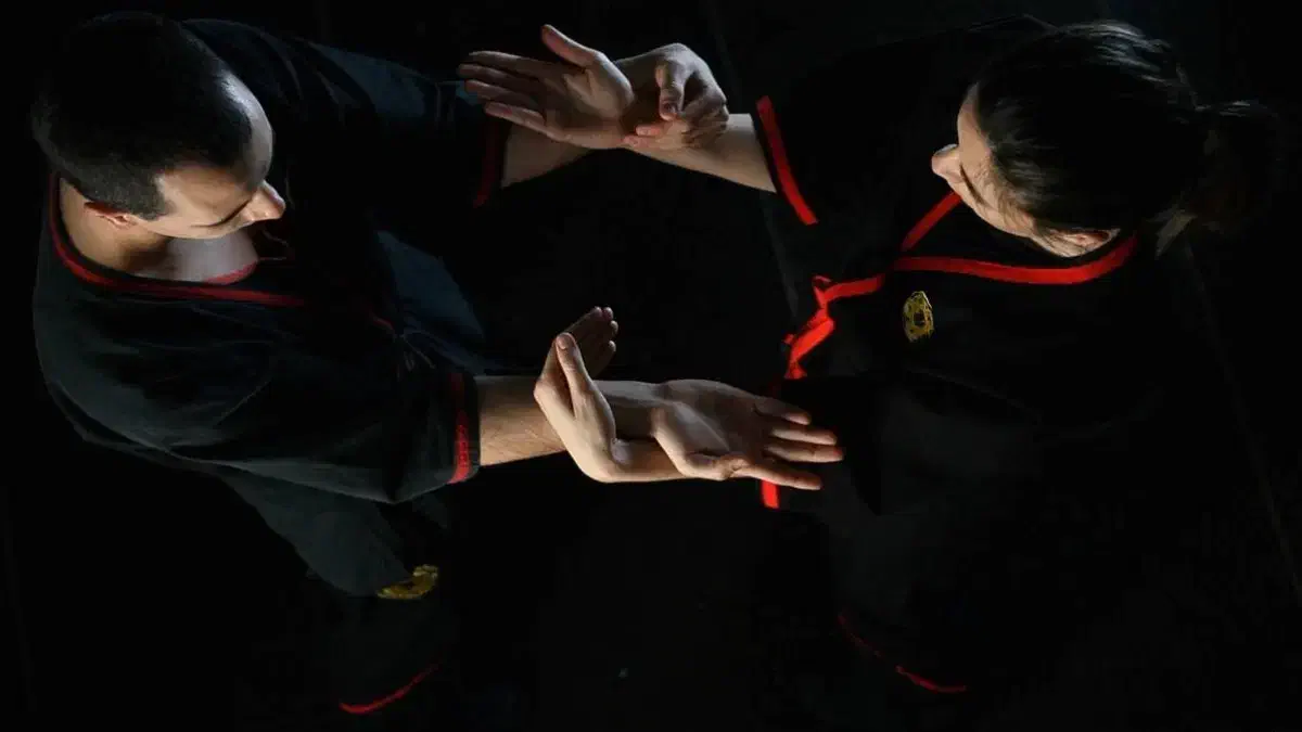 آموزش دفاع شخصی|خدمات آموزشی|تبریز, |دیوار