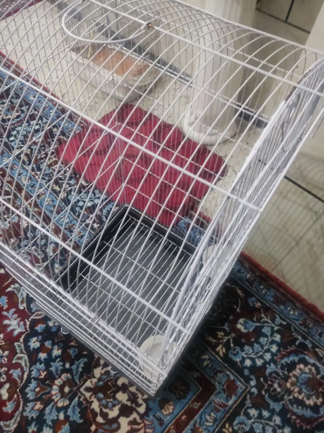 قفس|لوازم جانبی حیوانات|اسدآباد, |دیوار