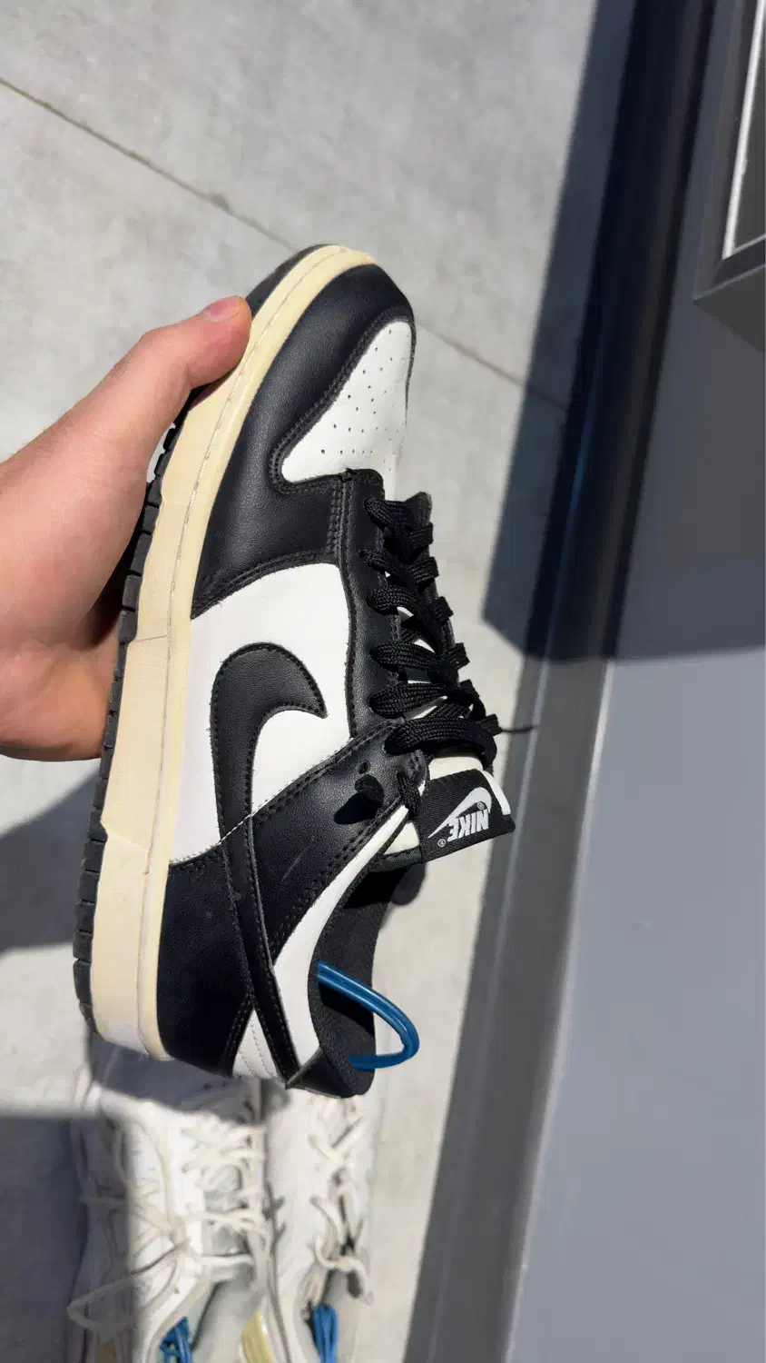 کتونی نایک و اسکیس|کیف، کفش، کمربند|کرج, گوهردشت|دیوار